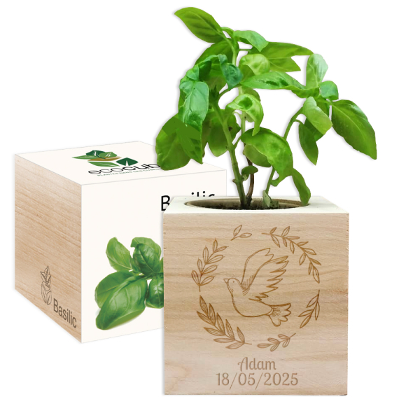 EcoCube gravert duek dåp EcoCube gravert duek dåp