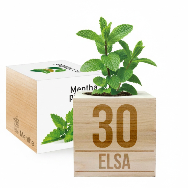 EcoCube tilpasset bursdag EcoCube tilpasset bursdag