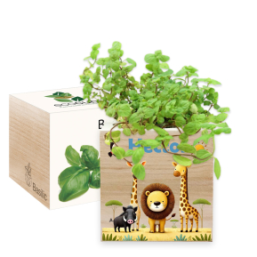 Trykt EcoCube Safari Trykt EcoCube Safari