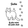 Katt