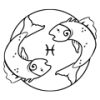 Fisk