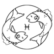 Fisk