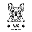 Fransk bulldog