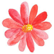 Blomst