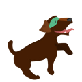 Hund3