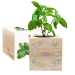 Trykt EcoCube blomsterkrans Trykt EcoCube blomsterkrans