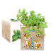 Trykt EcoCube Fortryllet skog Trykt EcoCube Fortryllet skog