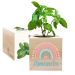 Trykt EcoCube Regnbue Trykt EcoCube Regnbue