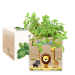 Trykt EcoCube Safari Trykt EcoCube Safari