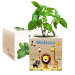Trykt EcoCube Safari Trykt EcoCube Safari